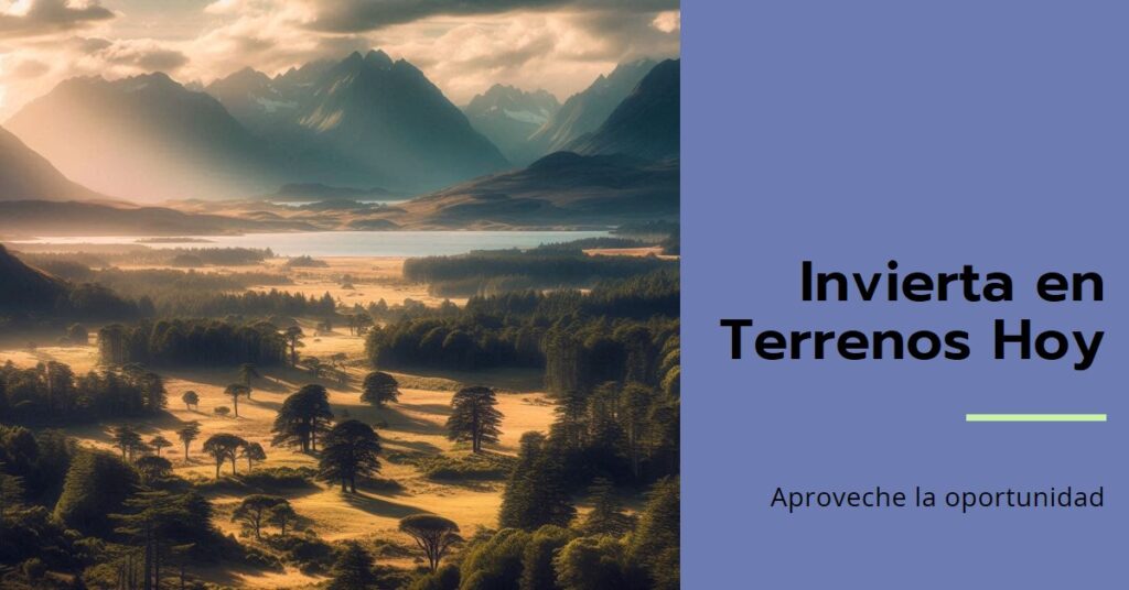 Invertir en terrenos es rentable